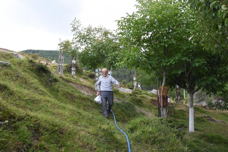 Boş araziyi su getirip, 500 ağaçlı meyve bahçesine çevirdi