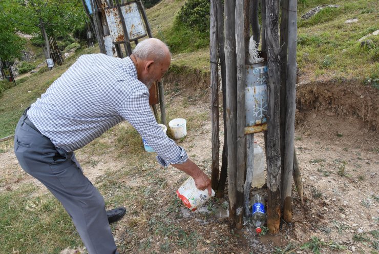 Boş araziyi su getirip, 500 ağaçlı meyve bahçesine çevirdi