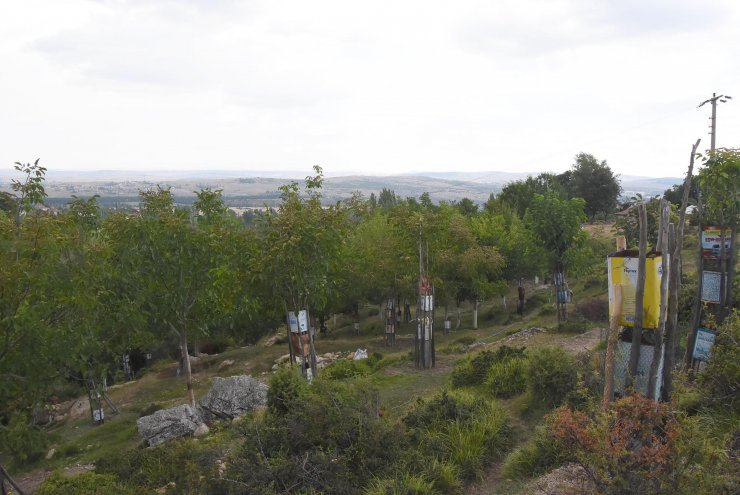 Boş araziyi su getirip, 500 ağaçlı meyve bahçesine çevirdi