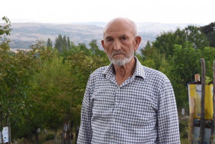 Boş araziyi su getirip, 500 ağaçlı meyve bahçesine çevirdi