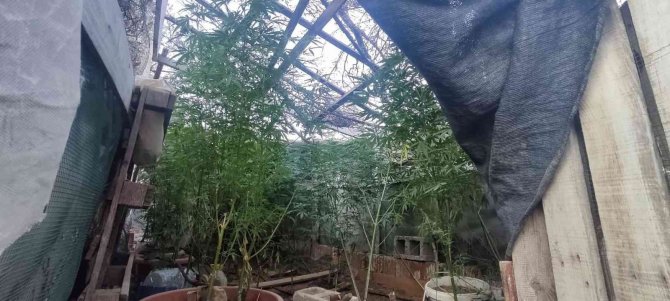 İzmir’in 9 ilçesinde uyuşturucu operasyonları: 26 gözaltı