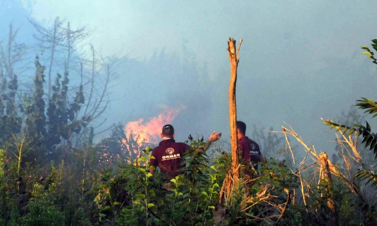 Meriç Nehri kıyısında çıkan otluk yangını söndürüldü