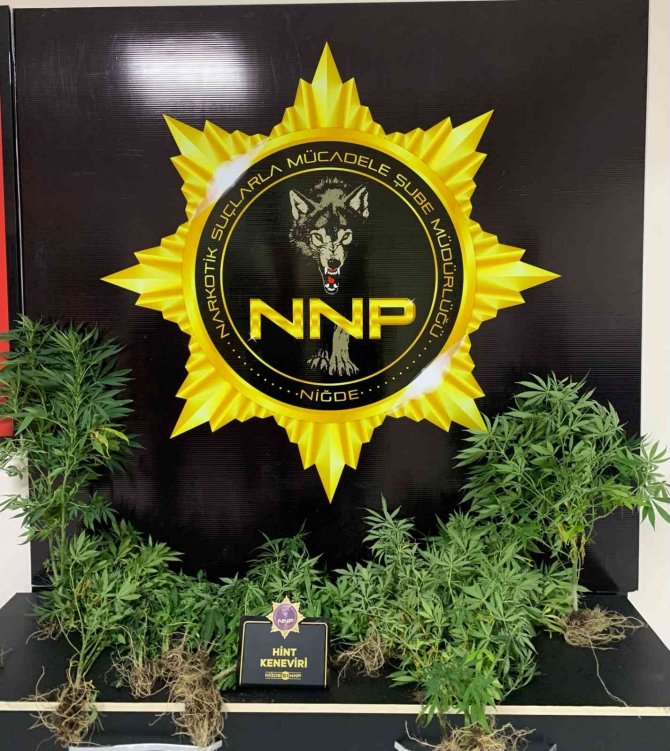 Uyuşturucu operasyonu : 17 gözaltı