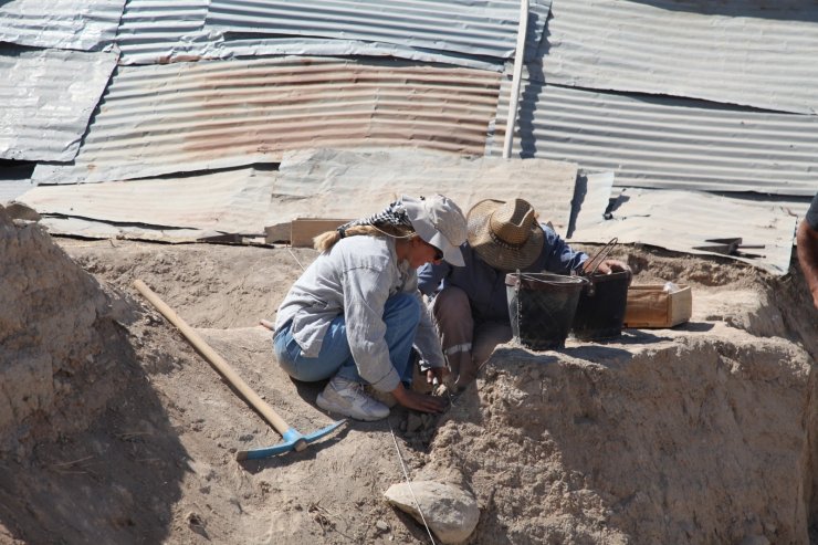 Arslantepe Höyüğü'nde kazı çalışmaları yeniden başladı