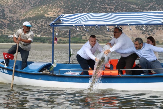 Denizli'deki Işıklı Gölü'ne 300 bin sazan yavrusu bırakıldı
