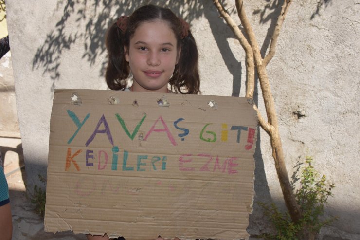 Kedileri ezen sürücülere pankartlı uyarı