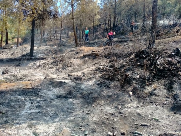 Tokat'ta orman yangını; 1 saatte kontrol altına alındı