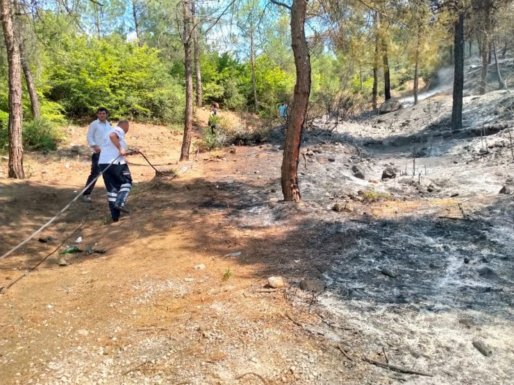 Tokat'ta orman yangını; 1 saatte kontrol altına alındı
