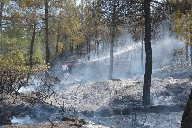 Tokat’taki orman yangınında 5 dönümlük alan zarar gördü