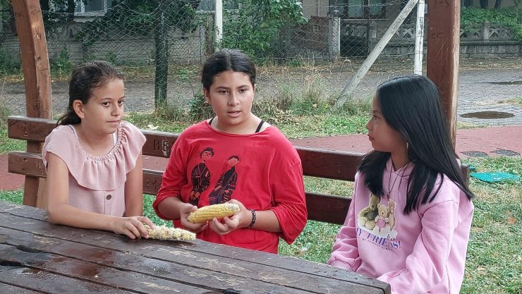 Villasının bahçesinden 3 tane mısır alan 3 kız çocuğunu tekme- tokat dövdü