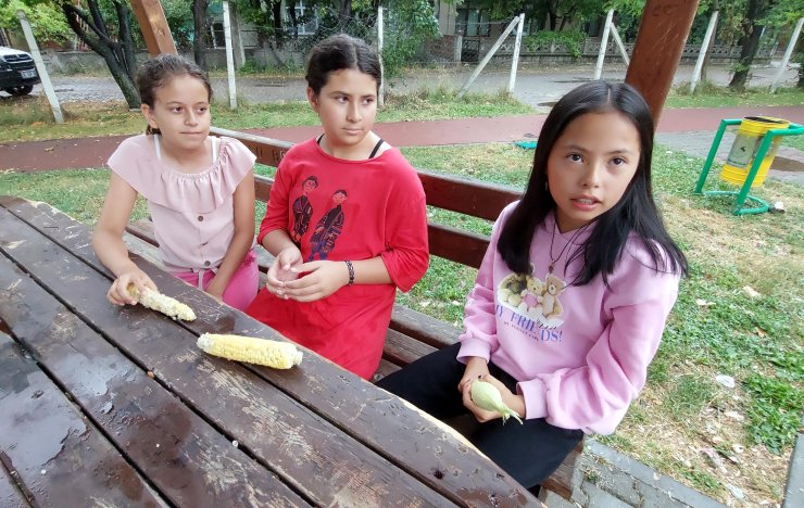 Villasının bahçesinden 3 tane mısır alan 3 kız çocuğunu tekme- tokat dövdü