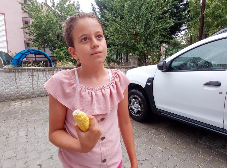 Villasının bahçesinden 3 tane mısır alan 3 kız çocuğunu tekme- tokat dövdü