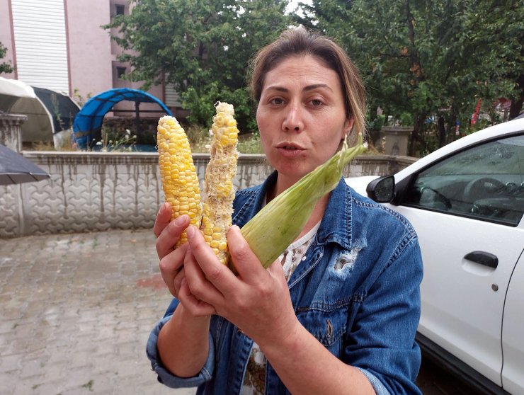 Villasının bahçesinden 3 tane mısır alan 3 kız çocuğunu tekme- tokat dövdü