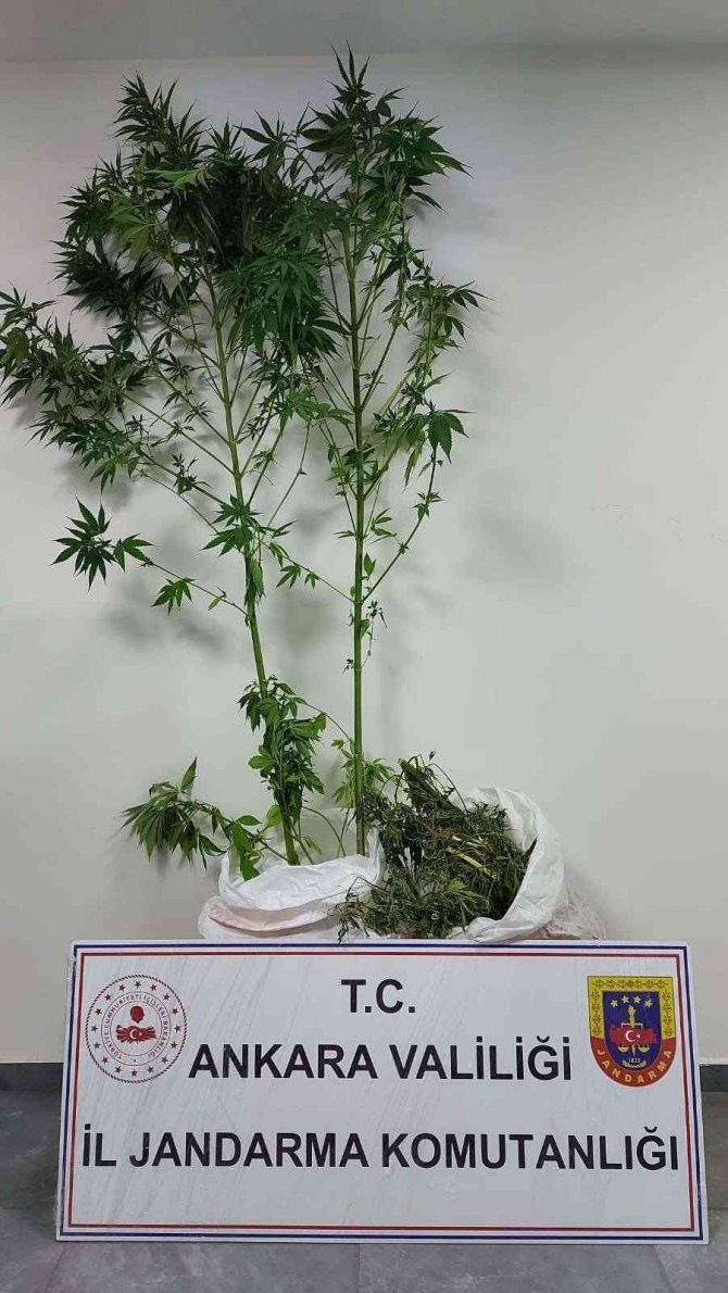 Başkentteki 5 farklı uyuşturucu operasyonunda 7 kişi yakalandı