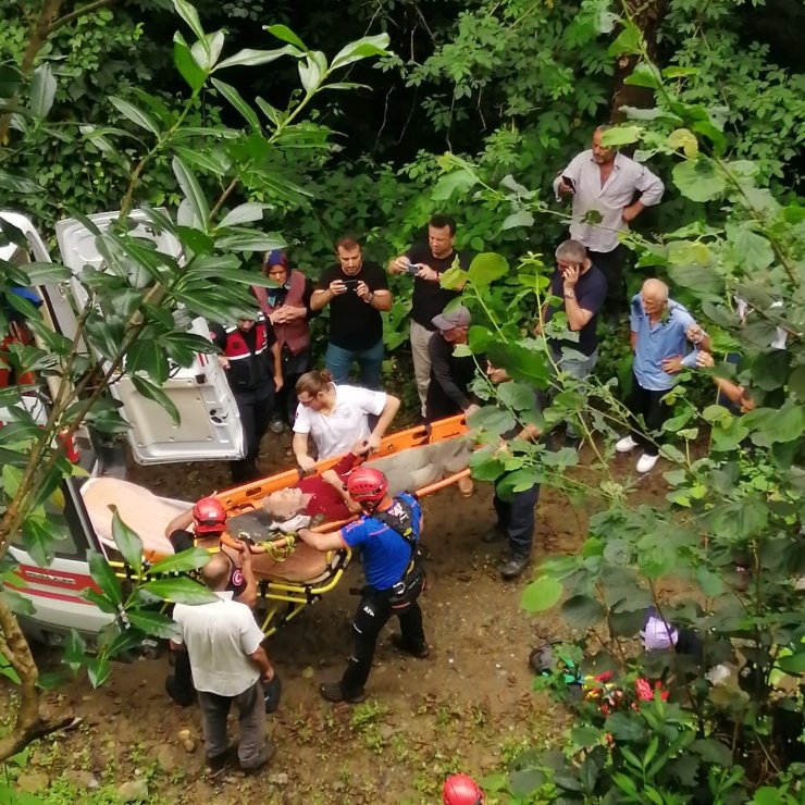 Çay hasadında, teleferik sepetinin çarpmasıyla yaralandı