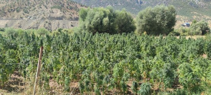 Diyarbakır'da 1054 personelin katılımıyla narko terör operasyonu