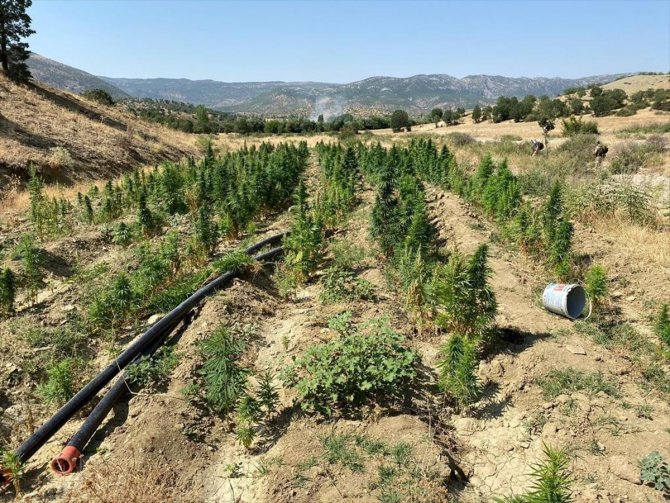 Diyarbakır'da 1054 personelin katılımıyla narko terör operasyonu