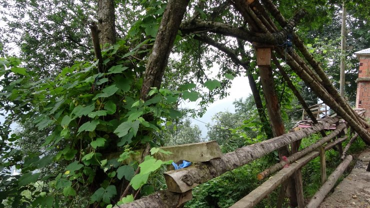 Eren Bülbül'ün yürek burkan son fotoğrafı