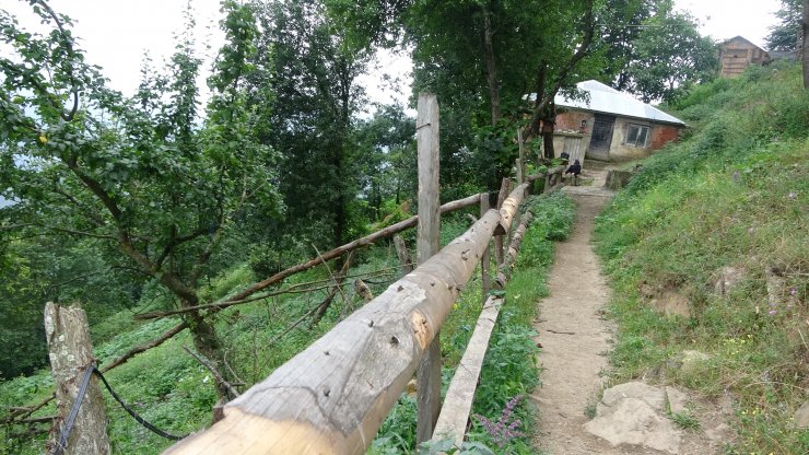 Eren Bülbül'ün yürek burkan son fotoğrafı