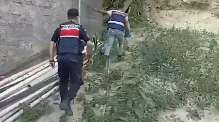 Evlerinde ve bahçelerinde kenevir yetiştiren 3 kişiye gözaltı