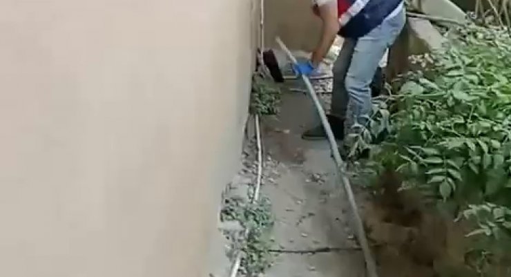 Evlerinde ve bahçelerinde kenevir yetiştiren 3 kişiye gözaltı