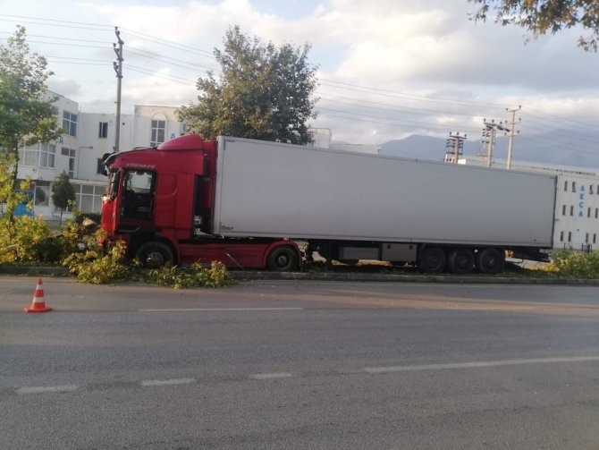 Kontrolden çıkar tırı, ağaçlar durdurdu