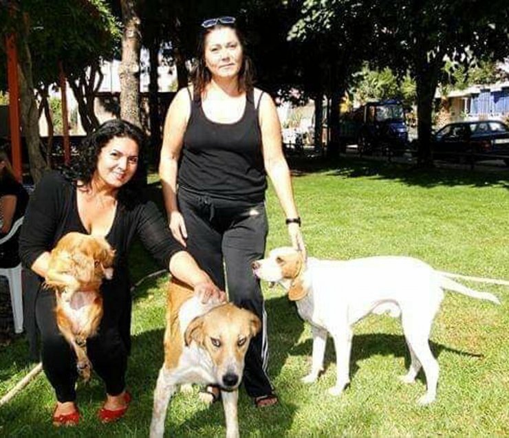 Manisa'da zehirlendikleri öne sürülen 15 kedi ile 1 köpek ölü bulundu