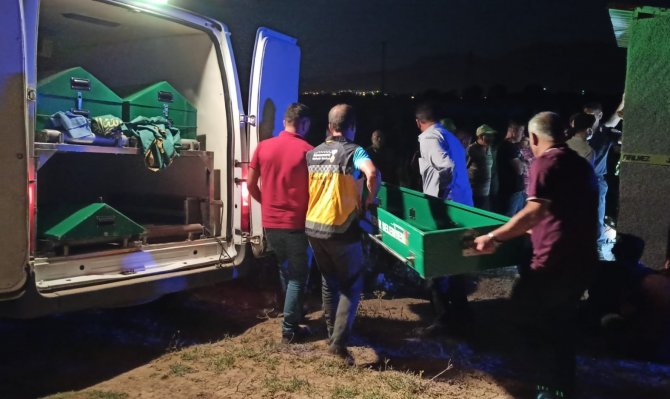 Mısır tarlasında ölü bulundu