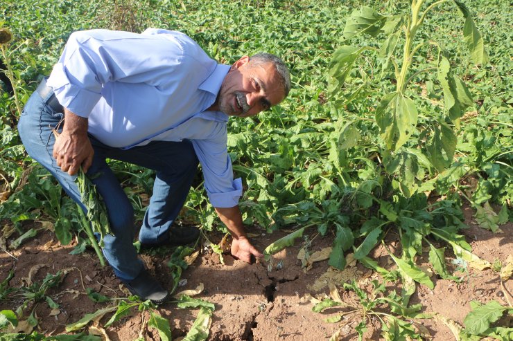 Tokat'ta, 40 bin dönüm ekili arazinin sulama sorunu