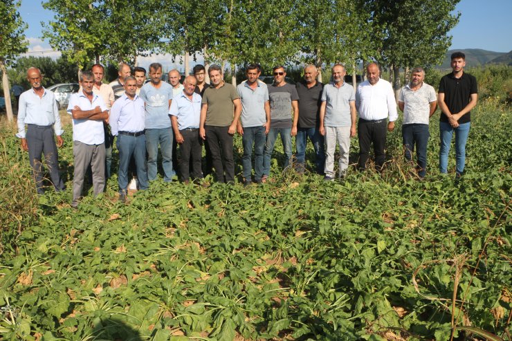 Tokat'ta, 40 bin dönüm ekili arazinin sulama sorunu