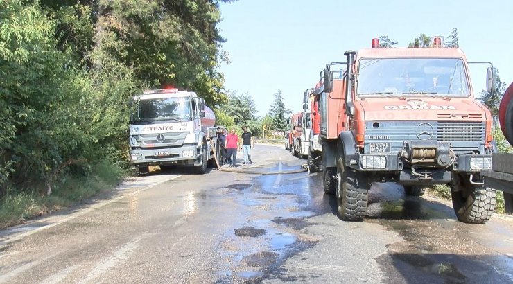 Uludağ eteklerinde orman yangını