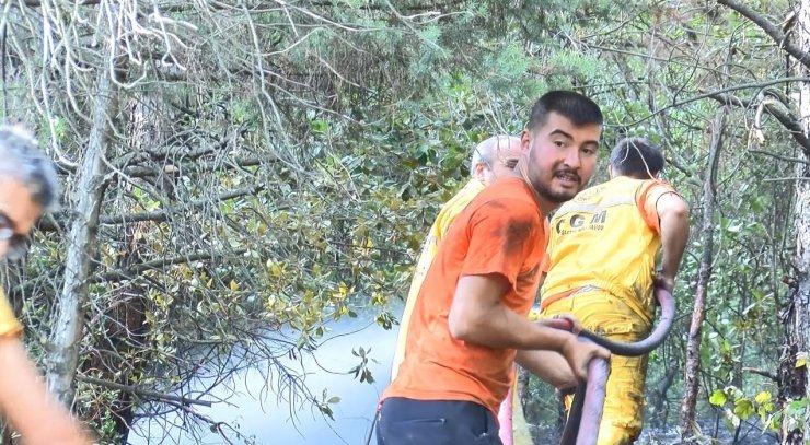 Uludağ eteklerinde orman yangını