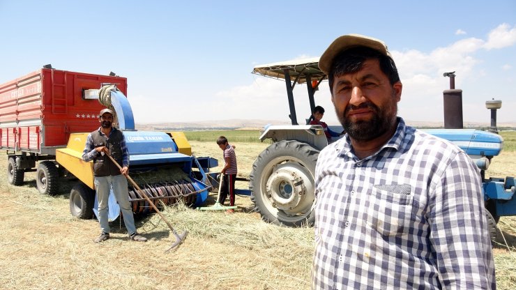 Van Gölü çekildi, tarım alanları gün yüzüne çıktı