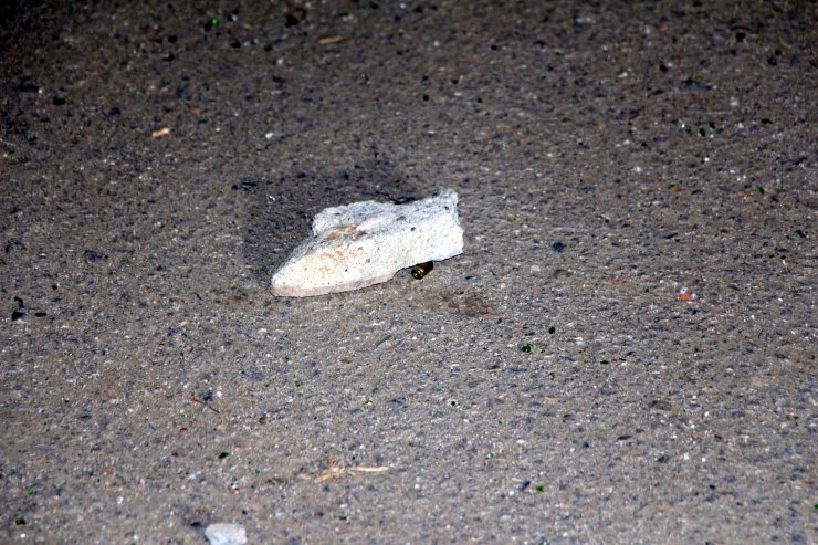 Adana'da silahlı kavga: 1 yaralı