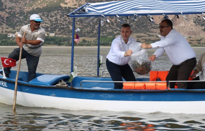 Işıklı Gölüne 300 bin adet yavru balık bırakıldı