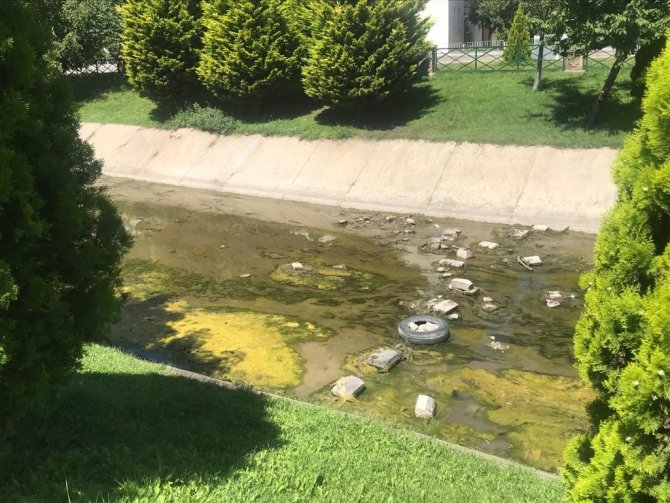 Su çekilince kanaldakiler ortaya çıktı