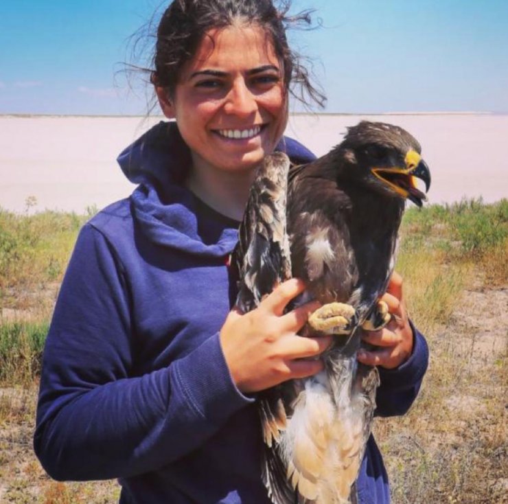 Türkiye'de 12 çift kalan bozkır kartalı, kırmızı listede