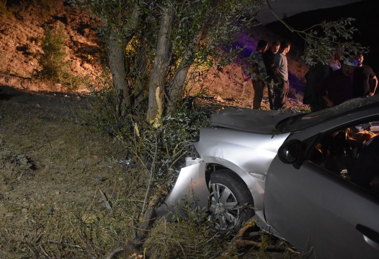 Yoldan çıkıp şarampoldeki ağaca çarpan otomobilin sürücüsü öldü