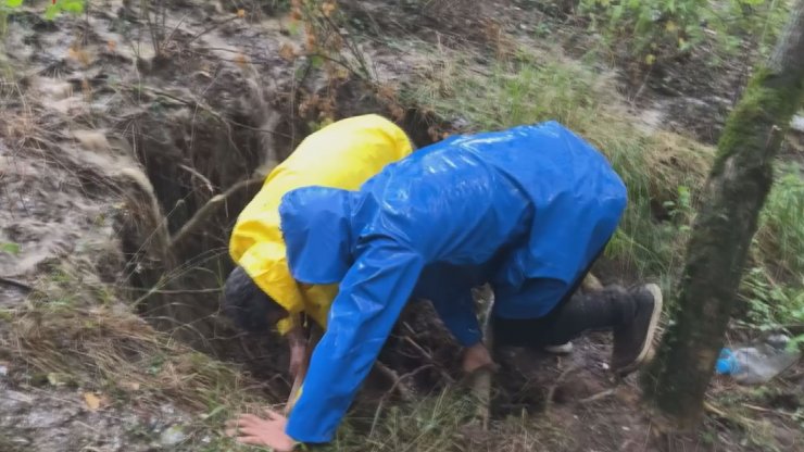 Su dolu oyuğa girip, 5 yavru köpeği kurtardı