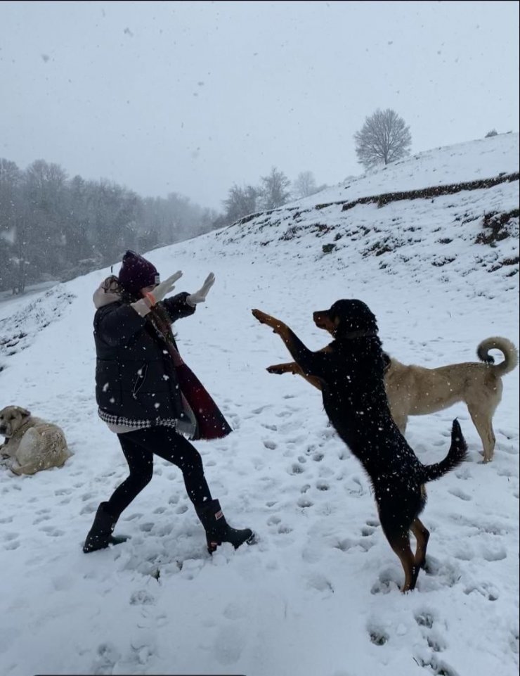 Yakın mesafeden av tüfeğiyle vurularak öldürüldü