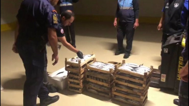 Boğaz'da palamut nöbeti