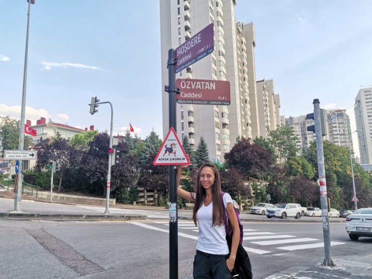 Hayvanseverlerden can dostları için 'Yavaşla' tabelaları