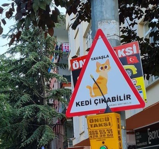 Hayvanseverlerden can dostları için 'Yavaşla' tabelaları