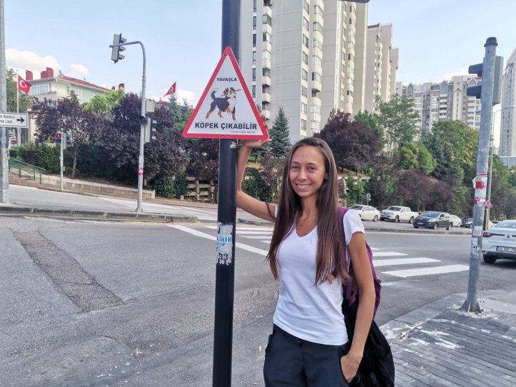 Hayvanseverlerden can dostları için 'Yavaşla' tabelaları