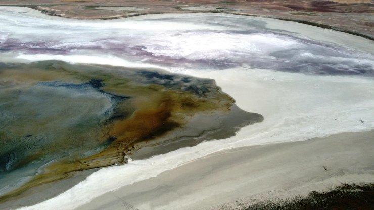 Konya'da tarımdaki bilinçsizce sulama kötü senaryoyu ortaya çıkardı! Yaşam alanları daraldı