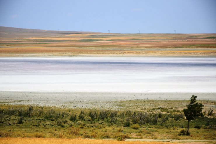 Konya'da tarımdaki bilinçsizce sulama kötü senaryoyu ortaya çıkardı! Yaşam alanları daraldı
