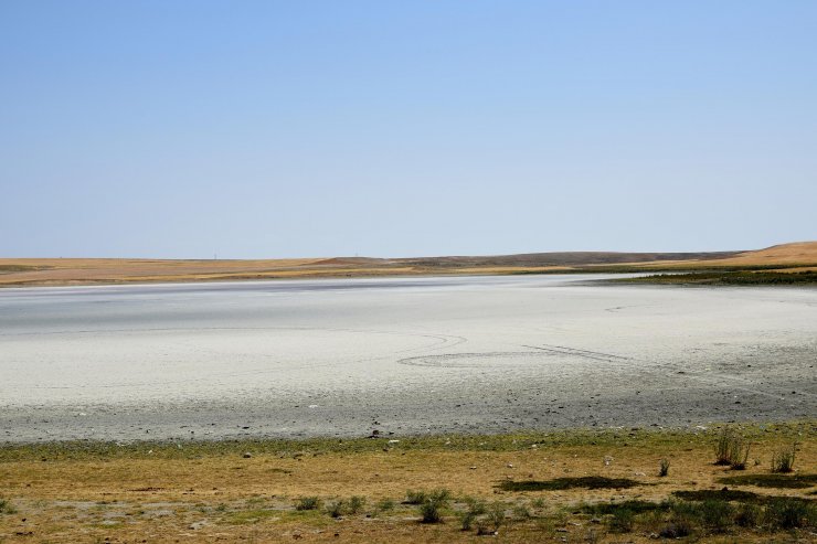 Konya'da tarımdaki bilinçsizce sulama kötü senaryoyu ortaya çıkardı! Yaşam alanları daraldı