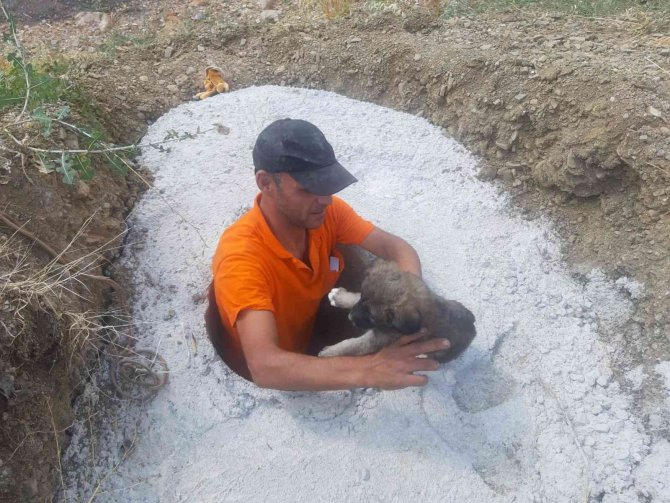 Konya'da beton çukura düşen 2 yavru köpek kurtarıldı