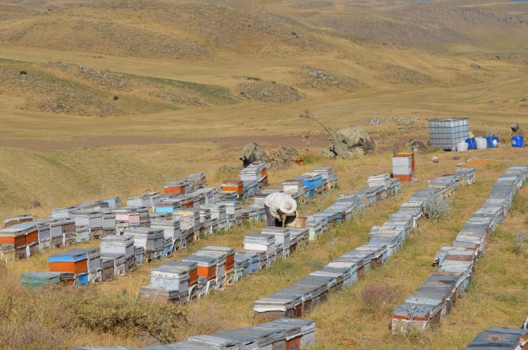 Süphan Dağı'nın 2 bin 300 rakımında bal üretimi