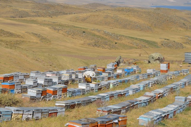 Süphan Dağı'nın 2 bin 300 rakımında bal üretimi